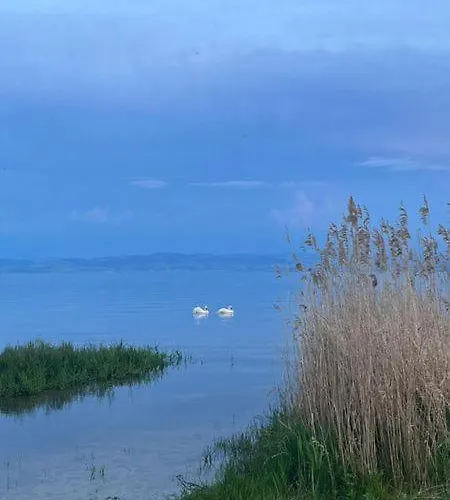 Designerloft Lägenhet *